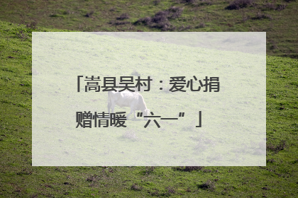 嵩县吴村：爱心捐赠情暖“六一”
