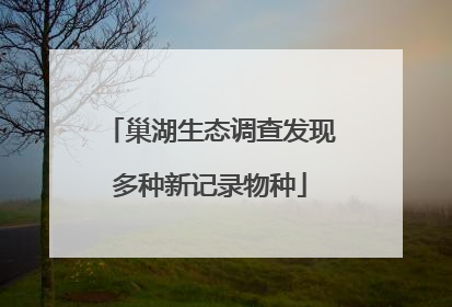 巢湖生态调查发现多种新记录物种