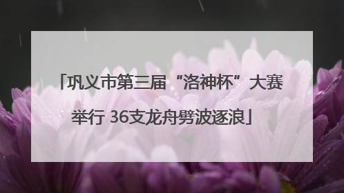 巩义市第三届“洛神杯”大赛举行 36支龙舟劈波逐浪