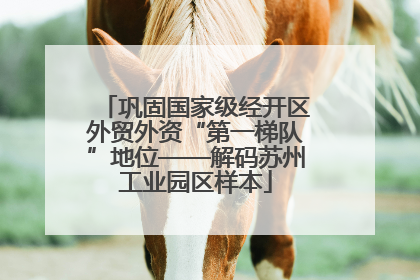 巩固国家级经开区外贸外资“第一梯队”地位——解码苏州工业园区样本