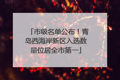 市级名单公布！青岛西海岸新区入选数量位居全市第一