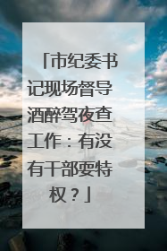 市纪委书记现场督导酒醉驾夜查工作：有没有干部耍特权？