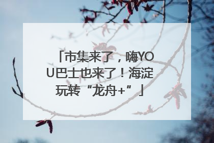 市集来了，嗨YOU巴士也来了！海淀玩转“龙舟+”