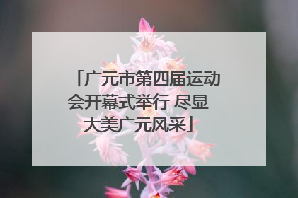 广元市第四届运动会开幕式举行 尽显大美广元风采