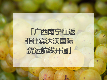广西南宁往返菲律宾达沃国际货运航线开通