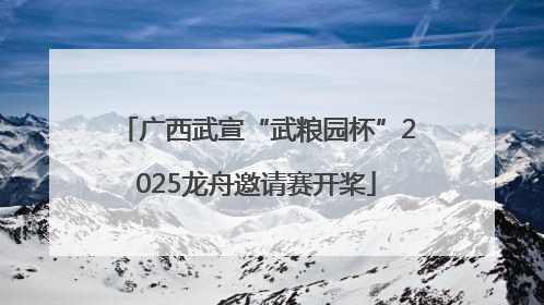 广西武宣“武粮园杯”2025龙舟邀请赛开桨