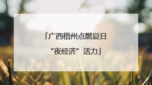 广西梧州点燃夏日“夜经济”活力