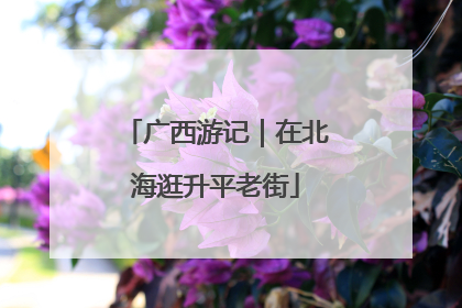 广西游记｜在北海逛升平老街