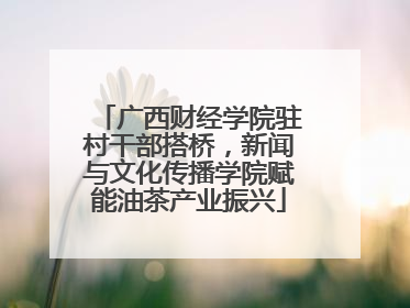 广西财经学院驻村干部搭桥，新闻与文化传播学院赋能油茶产业振兴