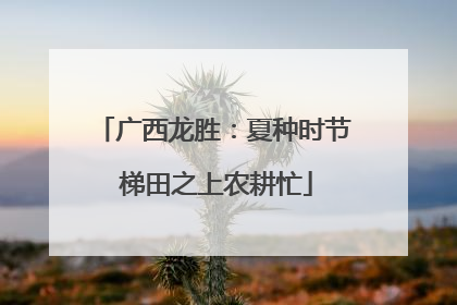 广西龙胜：夏种时节 梯田之上农耕忙