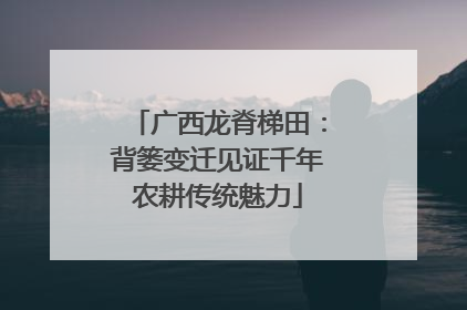 广西龙脊梯田：背篓变迁见证千年农耕传统魅力