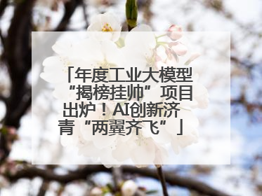 年度工业大模型“揭榜挂帅”项目出炉！AI创新济青“两翼齐飞”
