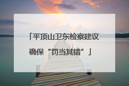 平顶山卫东检察建议确保“罚当其错”