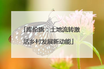 库伦旗：土地流转激活乡村发展新动能