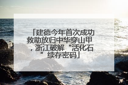 建德今年首次成功救助放归中华穿山甲，浙江破解“活化石”续存密码
