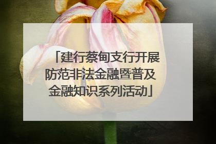 建行蔡甸支行开展防范非法金融暨普及金融知识系列活动