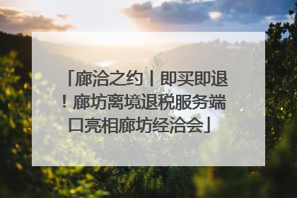 廊洽之约丨即买即退！廊坊离境退税服务端口亮相廊坊经洽会