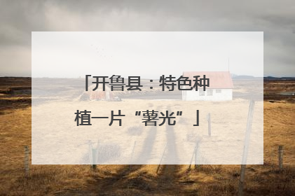 开鲁县：特色种植一片“薯光”