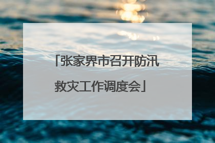 张家界市召开防汛救灾工作调度会