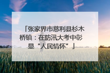 张家界市慈利县杉木桥镇：在防汛大考中彰显“人民情怀”