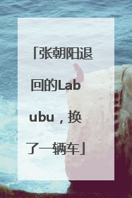 张朝阳退回的Labubu，换了一辆车
