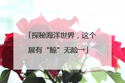 探秘海洋世界，这个展有“鲸”无险→