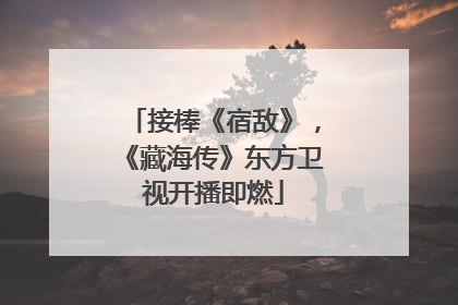 接棒《宿敌》，《藏海传》东方卫视开播即燃
