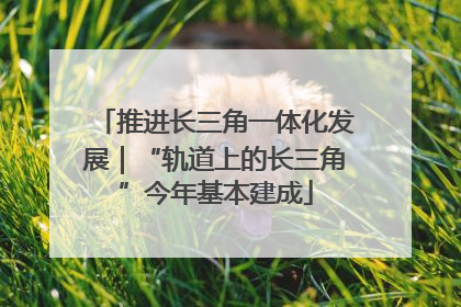 推进长三角一体化发展｜“轨道上的长三角”今年基本建成