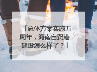 总体方案实施五周年，海南自贸港建设怎么样了？