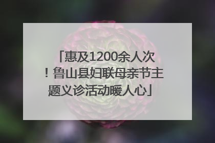 惠及1200余人次！鲁山县妇联母亲节主题义诊活动暖人心