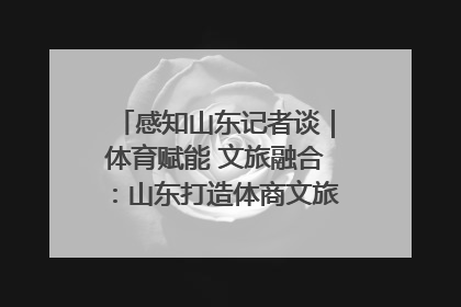 感知山东记者谈｜体育赋能 文旅融合：山东打造体商文旅融合发展新格局