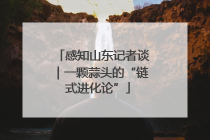 感知山东记者谈｜一颗蒜头的“链式进化论”