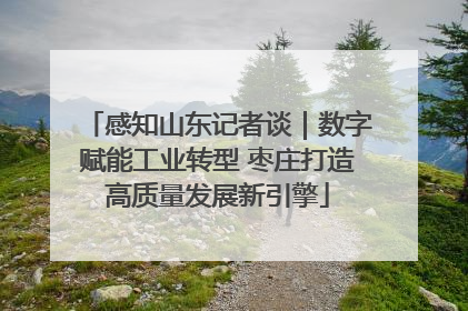 感知山东记者谈｜数字赋能工业转型 枣庄打造高质量发展新引擎