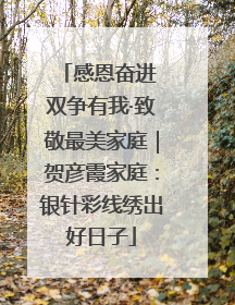 感恩奋进 双争有我·致敬最美家庭｜贺彦霞家庭：银针彩线绣出好日子