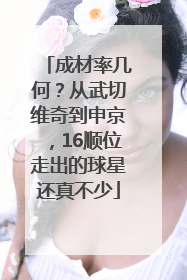 成材率几何？从武切维奇到申京，16顺位走出的球星还真不少