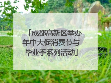 成都高新区举办年中大促消费节与毕业季系列活动