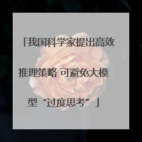 我国科学家提出高效推理策略 可避免大模型“过度思考”