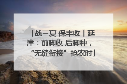 战三夏 保丰收丨延津：前脚收 后脚种，“无缝衔接”抢农时