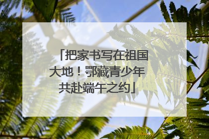 把家书写在祖国大地！鄂藏青少年共赴端午之约