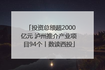 投资总额超2000亿元 泸州推介产业项目94个丨数读西投