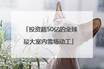 投资超50亿的全球最大室内雪场动工
