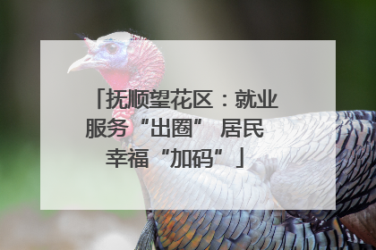 抚顺望花区：就业服务“出圈” 居民幸福“加码”