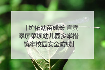 护佑幼苗成长 宜宾翠屏菜坝幼儿园多举措筑牢校园安全防线