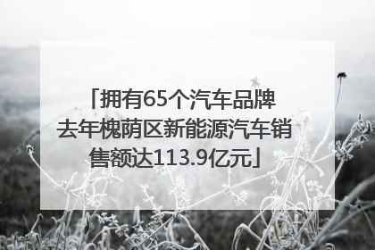 拥有65个汽车品牌 去年槐荫区新能源汽车销售额达113.9亿元