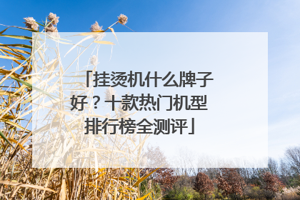 挂烫机什么牌子好？十款热门机型排行榜全测评