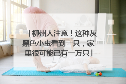 柳州人注意！这种灰黑色小虫看到一只，家里很可能已有一万只