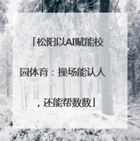 松阳以AI赋能校园体育：操场能认人，还能帮数数