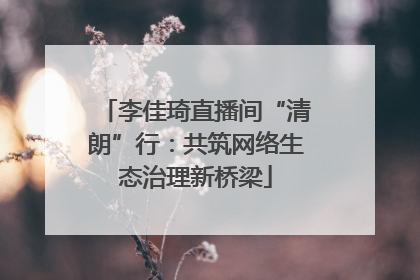 李佳琦直播间“清朗”行：共筑网络生态治理新桥梁