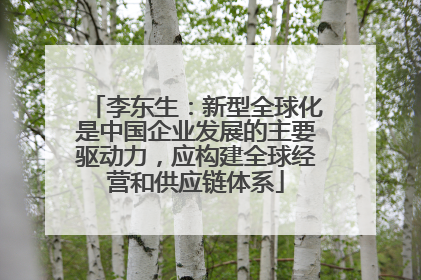 李东生：新型全球化是中国企业发展的主要驱动力，应构建全球经营和供应链体系