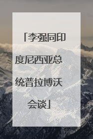 李强同印度尼西亚总统普拉博沃会谈